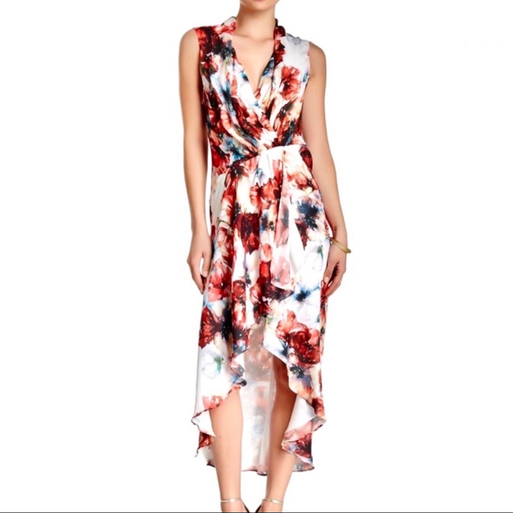 Haute Hippie Floral Print High-Low Chiffon Dress